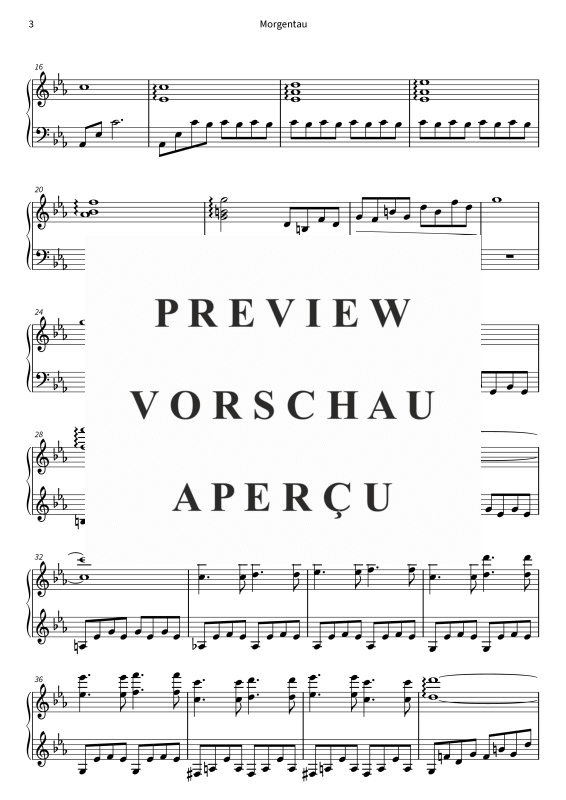 gallery: Morgentau - from the album The Valley, Niklas Blumenthaler, (Klavier Solo)