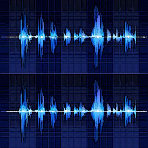 cover: Two Voices, David Feinberg
