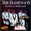 cover: I Only Have Eyes For You, The Flamingos, Gitarre