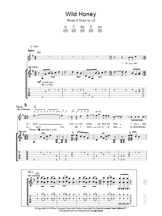 Produktgalerie: Seite 1 von 1 Wild Honey, U2, Gitarre