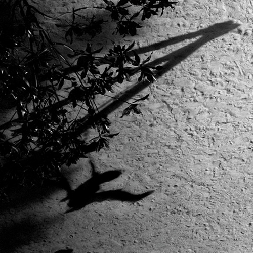 cover: Horizon Variations, Max Richter