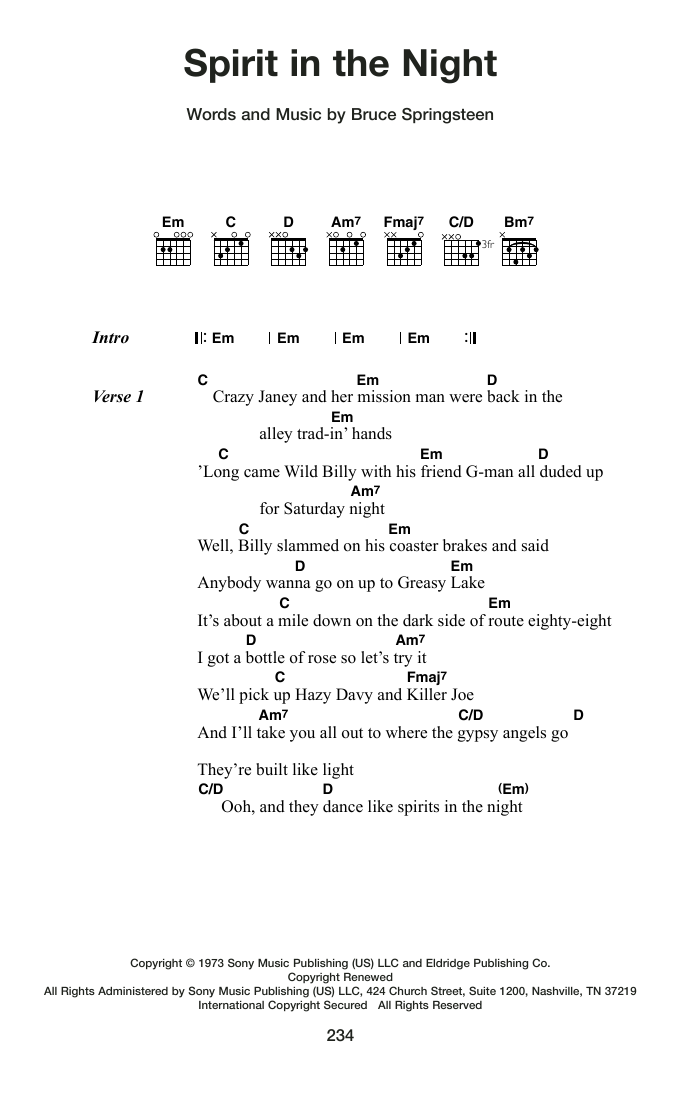 Produktgalerie: Seite 1 von 1 Spirit In The Night, Bruce Springsteen, Gitarre