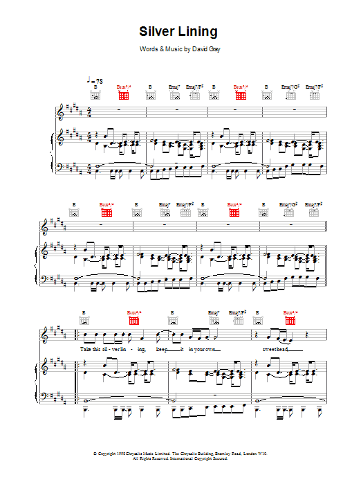 Produktgalerie: Seite 1 von 1 Silver Lining, David Gray, Gesang, Gitarre, Klavier
