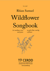 Produktbild zu: Wildflower Songbook