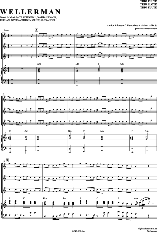 gallery: Wellerman (Sea Shanty) , Evans, Nathan,  (Flöten Trio + Klavier)
