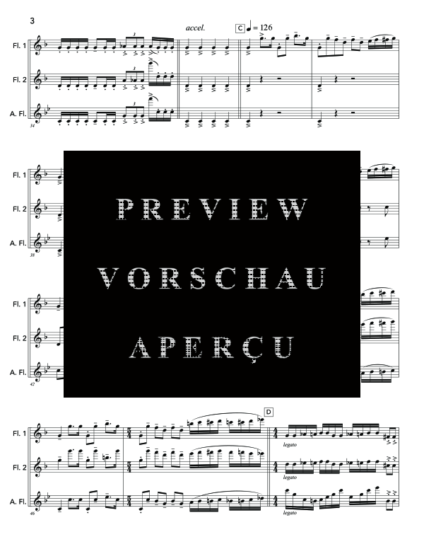 Product gallery: Page 10 of 11 Void of Day, , (flute trio 2x flute and alto flute)