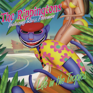 cover: Cruisin' Down Ocean Drive, The Rippingtons, Gitarre