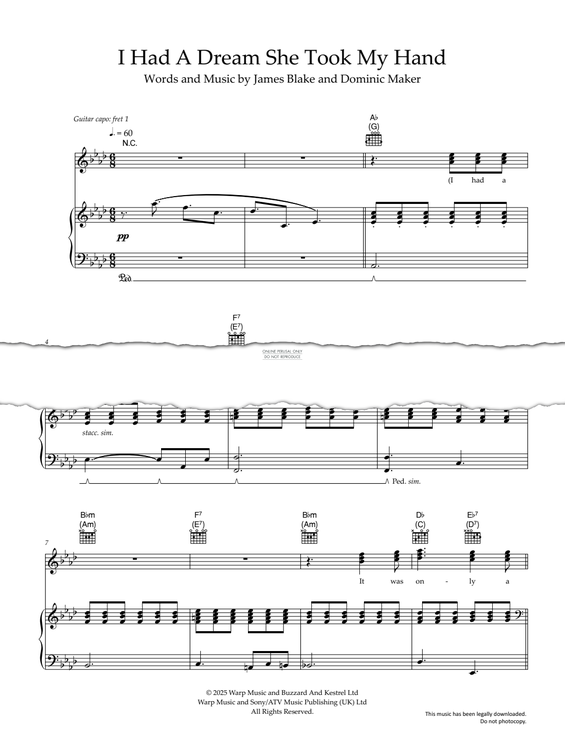 gallery: I Had A Dream She Took My Hand, James Blake, Gesang, Gitarre, Klavier