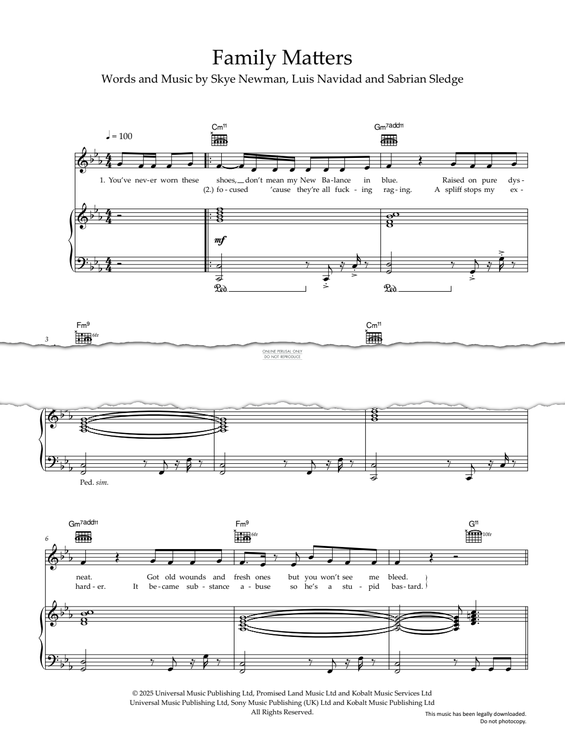 Produktgalerie: Seite 1 von 1 Family Matters, Skye Newman, Gesang, Gitarre, Klavier