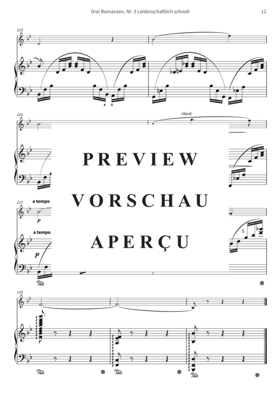 gallery: Drei Romanzen, Nr. 3 Leidenschaftlich schnell - op. 22 III, Joseph Joachim freundschaftlichst gewidmet , , (Violine + Klavier)