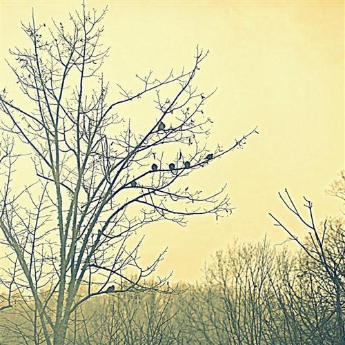 cover: You Get Me, Janet Day