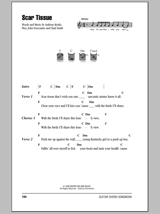 Product picture to:  Scar Tissue - Red Hot Chili Peppers