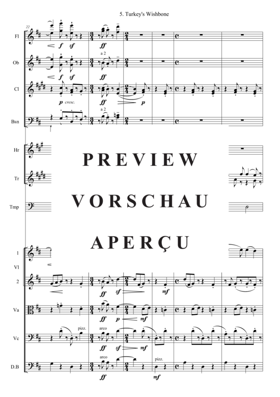 gallery: Turkey´s Wishbone (Kammer Orchester) , , (Bläser, Streicher + Pauken)