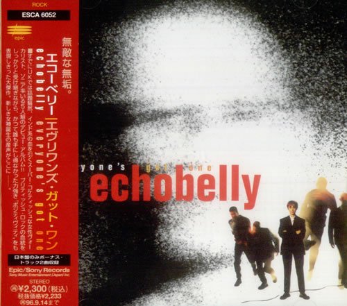 cover: I Can't Imagine The World Without Me, Echobelly, Gitarre
