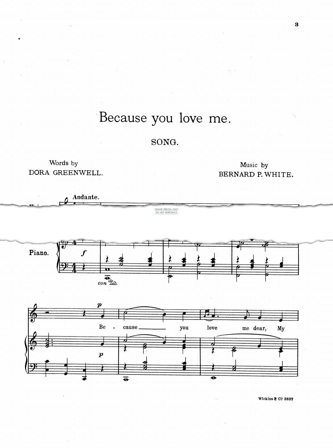 Produktgalerie: Seite 1 von 1 Because You Love Me, Bernard P. White, Gesang, Klavier