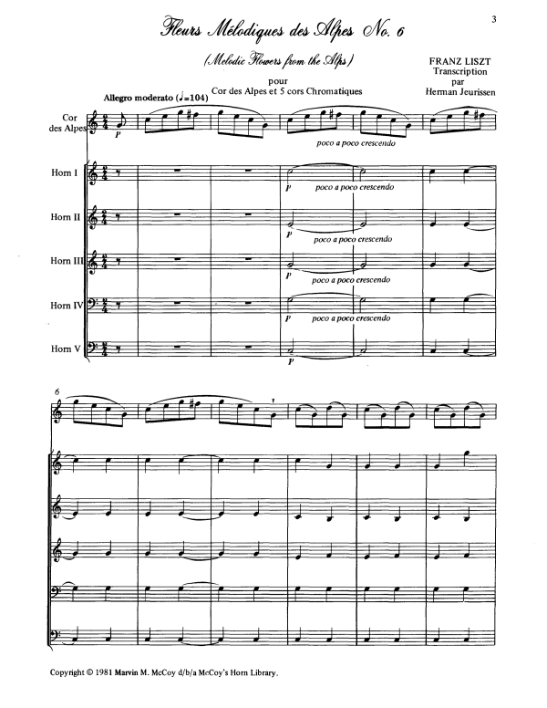 Produktbild zu: Fleurs Melodies des Alpes No. 6 (Melodic Flowers of the Alps)Franz Liszt