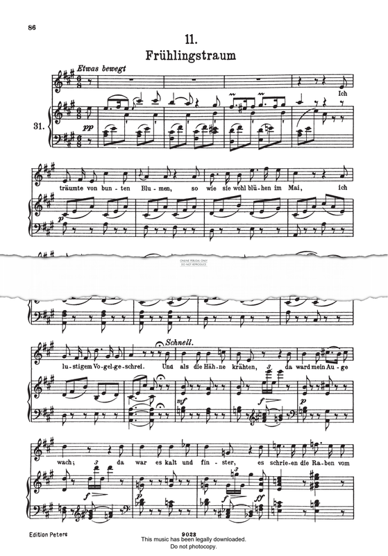 Product picture to: Frühlingstraum (from 'Winterreise Op.89 D911')
