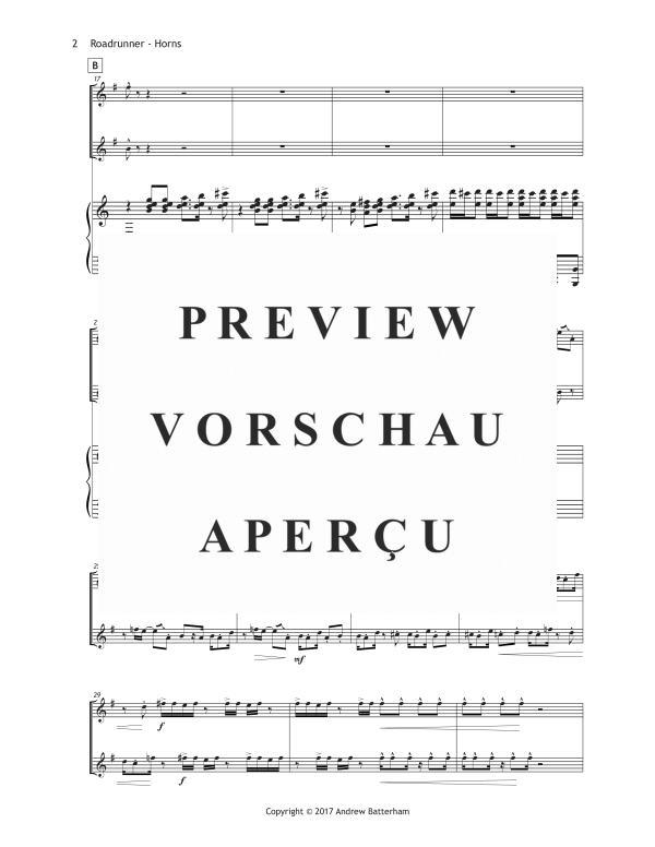 Produktgalerie: Seite 6 von 11 Roadrunner, , (Trio 2x Horn in F und Klavier)
