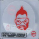 Produktbild zu: Ice Hockey Hair