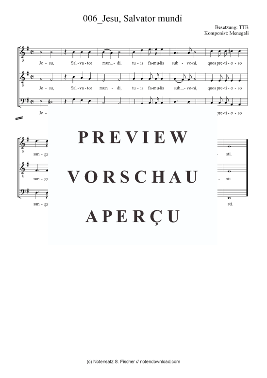 Product picture to: Jesu, Salvator mundi Menegali 