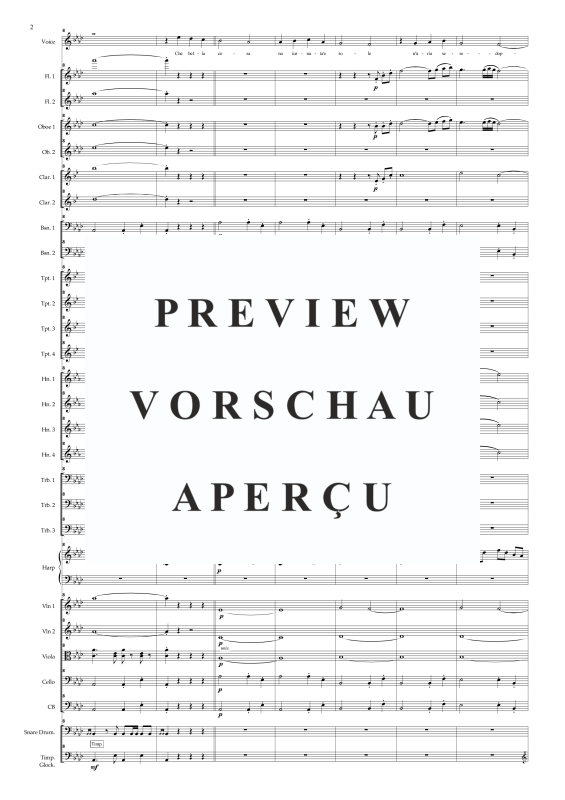 Product gallery: Page 5 of 11 O sole mio, , Solo Voice and Orchestra