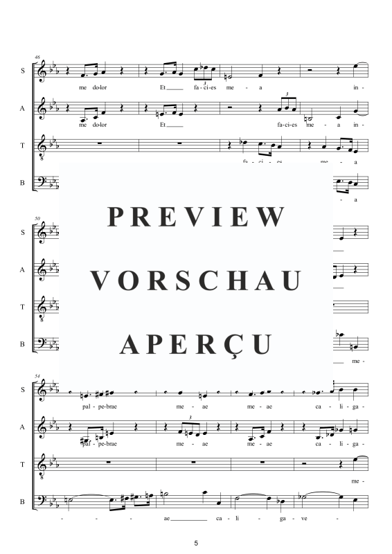 Produktgalerie: Seite 6 von 11 Ave Mater dolorosa - Sacred Motet, , Gemischter Chor a capella