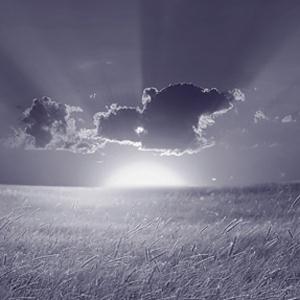 cover: Now Shall My Inward Joys Arise, Timothy Shaw