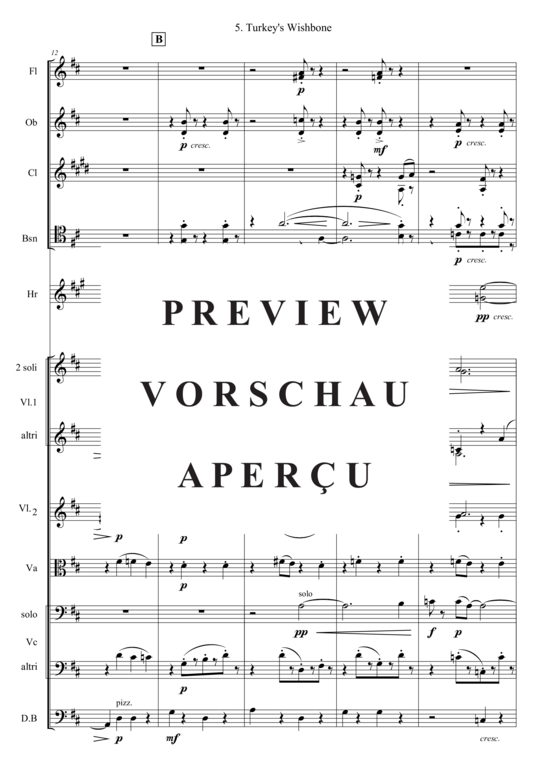 gallery: Turkey´s Wishbone (Kammer Orchester) , , (Bläser, Streicher + Pauken)
