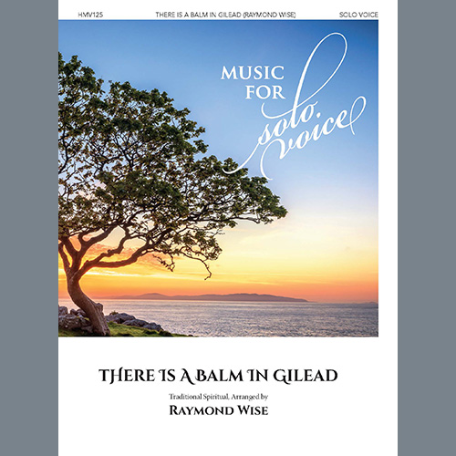 cover: There Is a Balm in Gilead, Raymond Wise