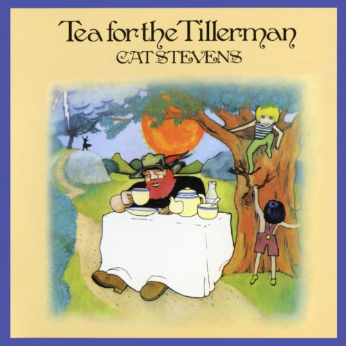 cover: But I Might Die Tonight, Cat Stevens, Gitarre