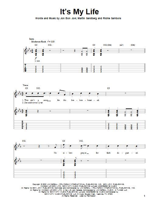 Product picture to:  It's My Life - Bon Jovi