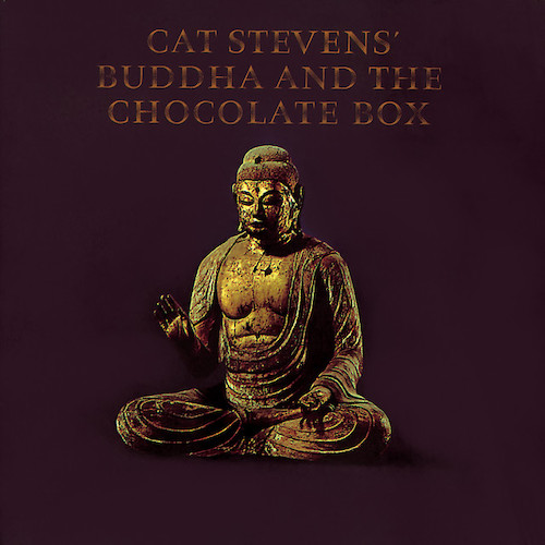 cover: A Bad Penny, Cat Stevens