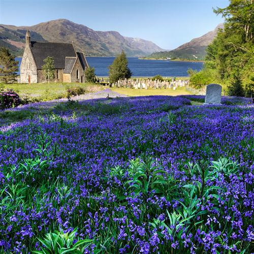 Produktbild zu: The Blue Bells Of Scotland