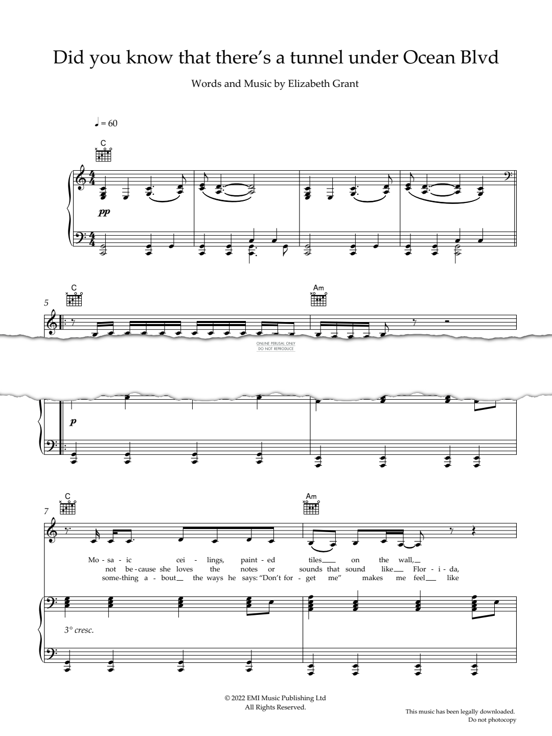 Produktgalerie: Seite 1 von 1 Did You Know That There's A Tunnel Under Ocean Blvd, Lana Del Rey, Gesang, Gitarre, Klavier
