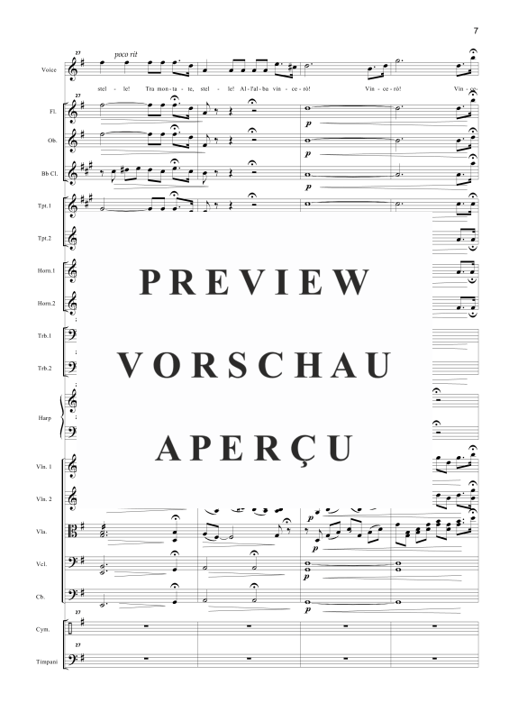 Produktgalerie: Seite 10 von 11 Nessun Dorma, , Tenor Solo und Orchester
