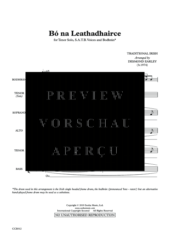 Produktgalerie: Seite 4 von 11 Bó na Leathaidhairce, , Tenor Solo, Gemischter Chor und irische Trommel