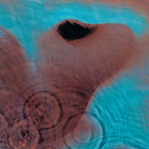 cover: One Of These Days, Pink Floyd