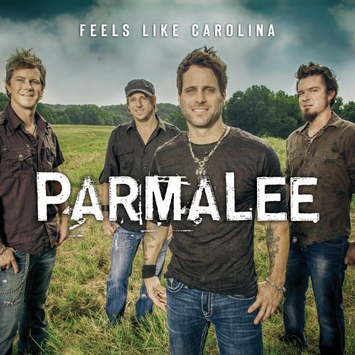cover: Carolina, Parmalee, Gesang, Gitarre, Klavier