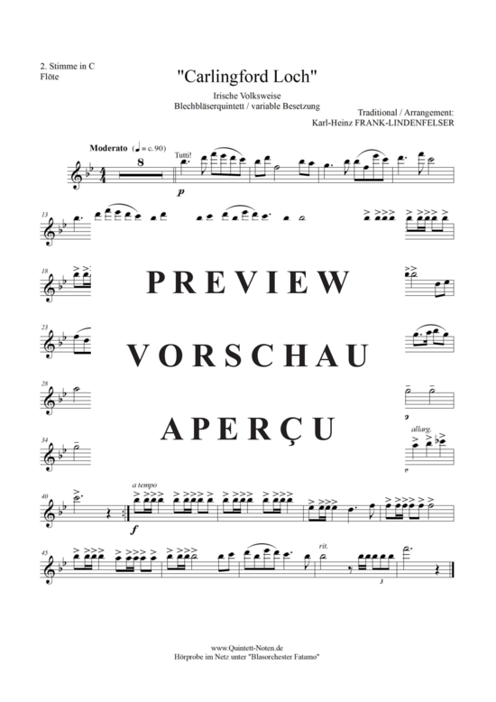 Produktgalerie: Seite 12 von 17 Carlingford Loch , Blasorchester Fatamo, (Blechbläser Quintett - flexible Besetzung)