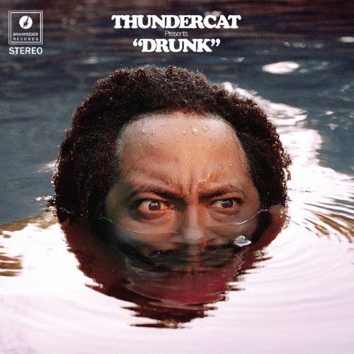 cover: Them Changes, Thundercat