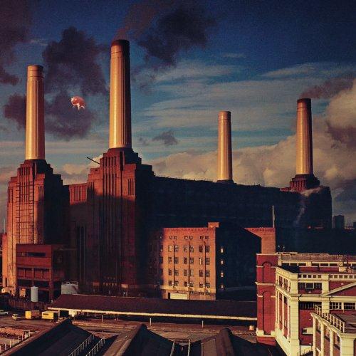 cover: Pigs On The Wing (Part 1), Pink Floyd, Gitarre