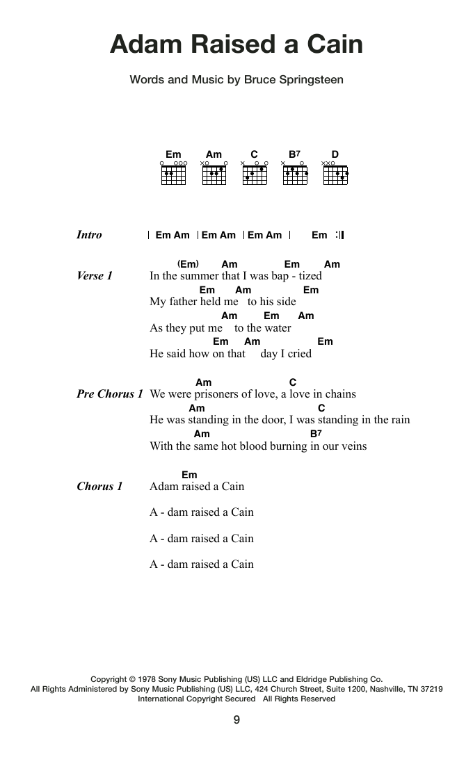 Produktgalerie: Seite 1 von 1 Adam Raised A Cain, Bruce Springsteen, Gitarre