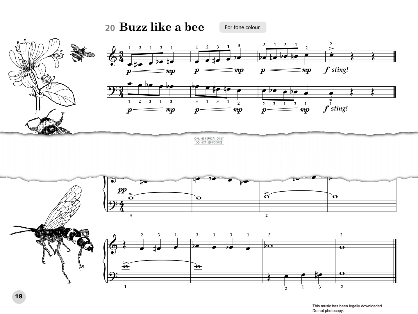 Produktbild zu:  Drone Like A Wasp - Fanny Waterman
