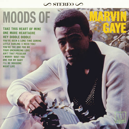 cover: Ain't That Peculiar, Marvin Gaye, Gesang, Gitarre, Klavier