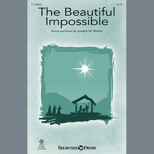 cover: The Beautiful Impossible, Joseph M. Martin