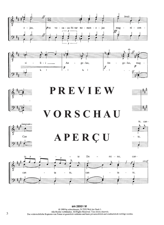 Product gallery: Page 6 of 9 Puer Natus est , , (male choir)