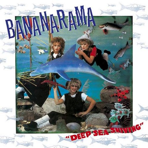 cover: Na Na Hey Hey Kiss Him Goodbye, Bananarama