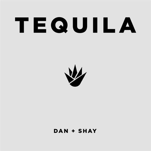 cover: Tequila, Dan + Shay, Gesang, Gitarre, Klavier