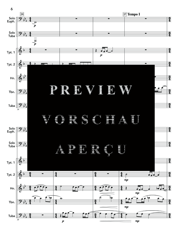 gallery: Ruminations, , (Blechbläser Ensemble Euphonium/Tuba + Blechbläser Qunitett)