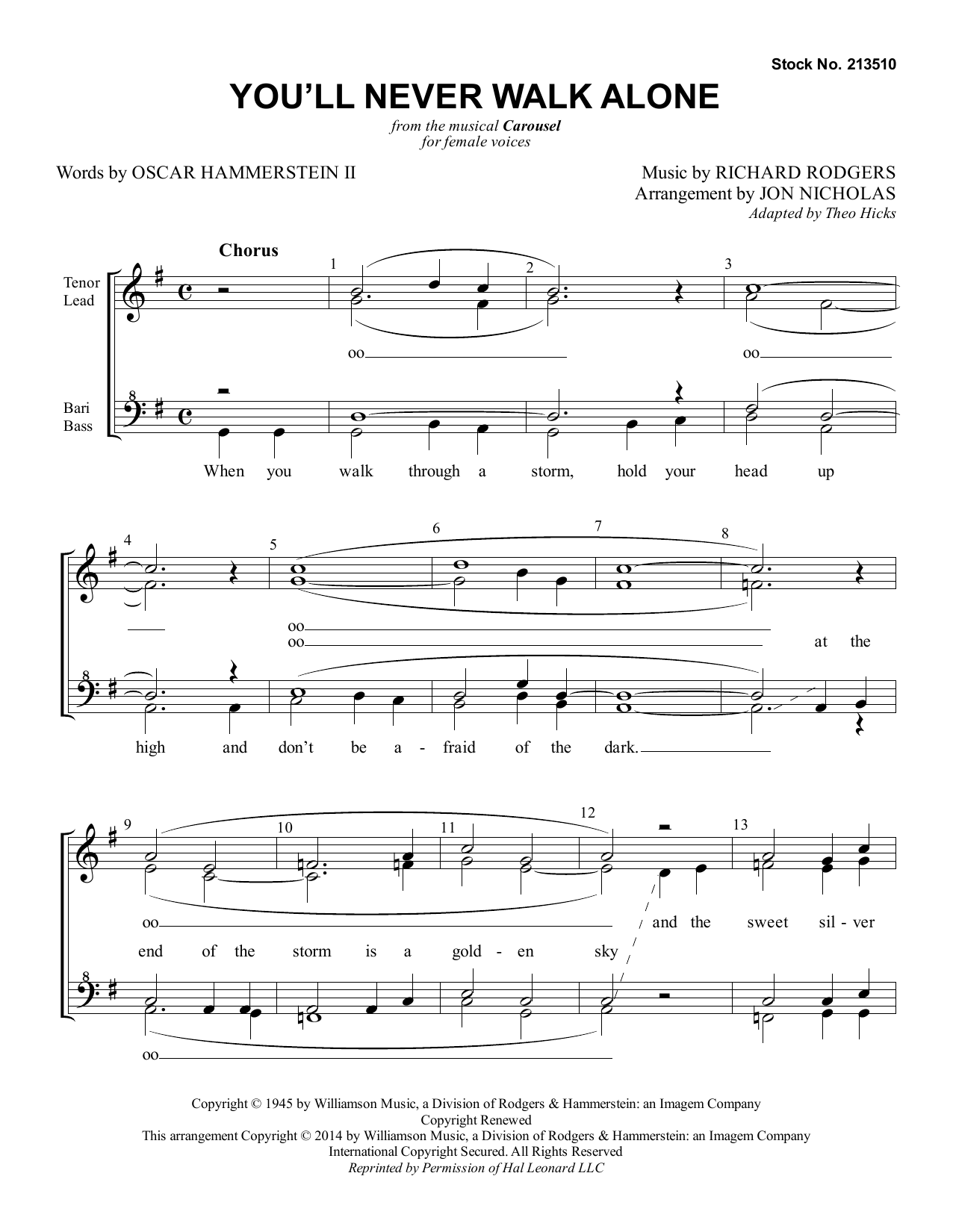 Produktgalerie: Seite 1 von 1 You'll Never Walk Alone (from Carousel) (arr. Jon Nicholas), Rodgers & Hammerstein, Chor